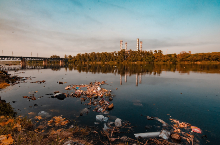 Paper | L'AI generativa è un ecosistema inquinato