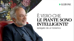 IntelligenzE molto naturali