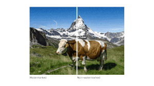 Google DeepMind lancia uno strumento di watermarking per le immagini generate dall'IA
