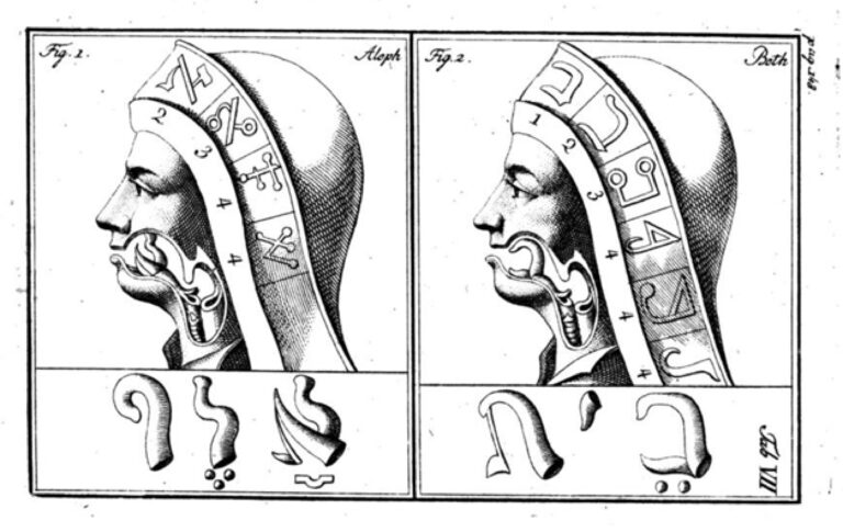 meccanismo della parola